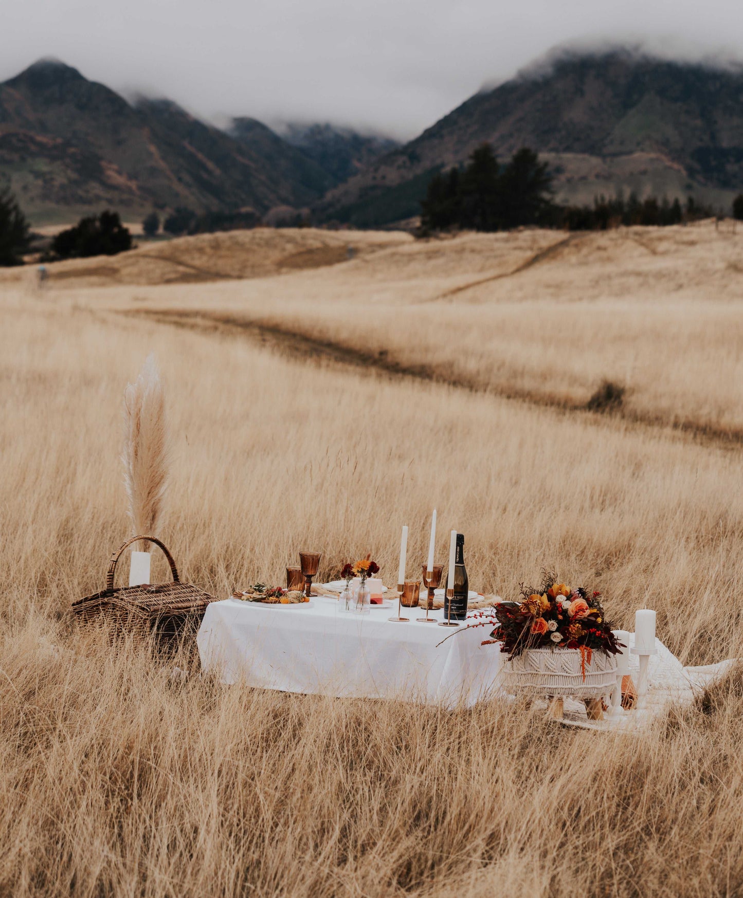 Elopement Picnic